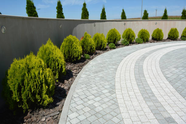 Best Custom Driveway Pavers  in Elk City, OK